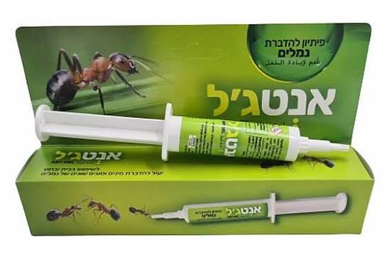 אנטגיל מזרק נגד נמלים 5 גרם 1/12